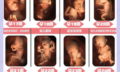 障视明一天可以用几次-障视明眼药水副作用网—知名的障眼明说明书网站,分享障视明眼药水多少钱一瓶知识